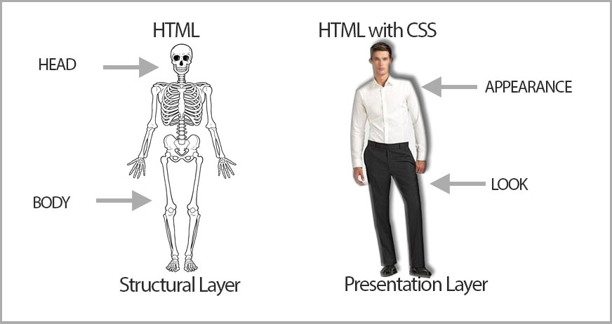 HTML ve CSS İlişkisi